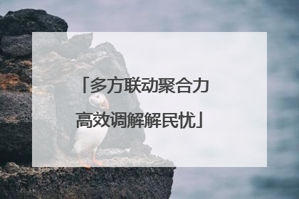 多方联动聚合力 高效调解解民忧