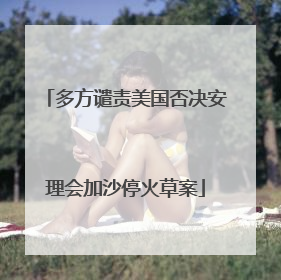 多方谴责美国否决安理会加沙停火草案