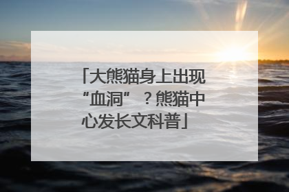 大熊猫身上出现“血洞”？熊猫中心发长文科普