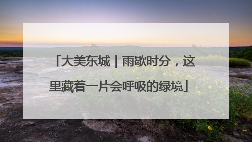 大美东城｜雨歇时分，这里藏着一片会呼吸的绿境