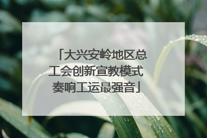 大兴安岭地区总工会创新宣教模式奏响工运最强音