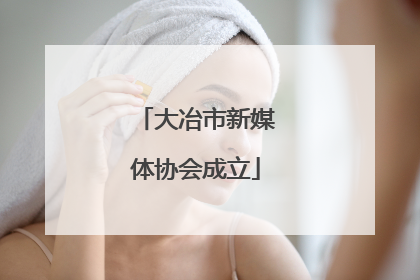 大冶市新媒体协会成立