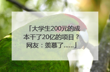 大学生200元的成本干了20亿的项目？网友：羡慕了……