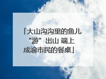 大山沟沟里的鱼儿 “游”出山 端上成渝市民的餐桌