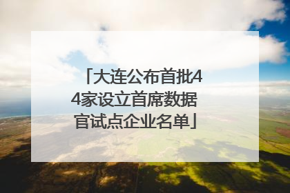 大连公布首批44家设立首席数据官试点企业名单