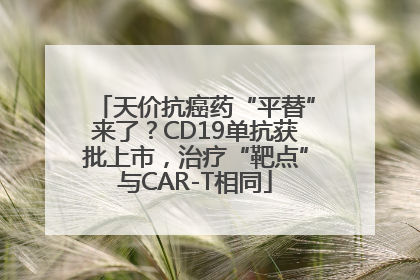 天价抗癌药“平替”来了？CD19单抗获批上市，治疗“靶点”与CAR-T相同