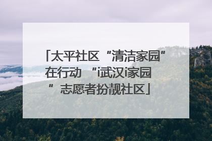 太平社区“清洁家园”在行动 “i武汉i家园”志愿者扮靓社区
