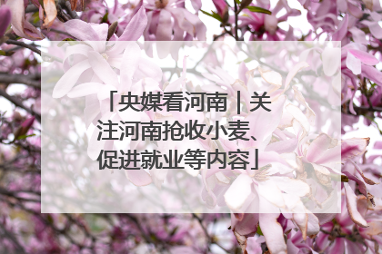 央媒看河南｜关注河南抢收小麦、促进就业等内容