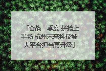 奋战二季度 拼抢上半场 杭州未来科技城大平台担当再升级