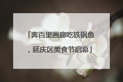 奔百里画廊吃铁锅鱼，延庆区美食节启幕
