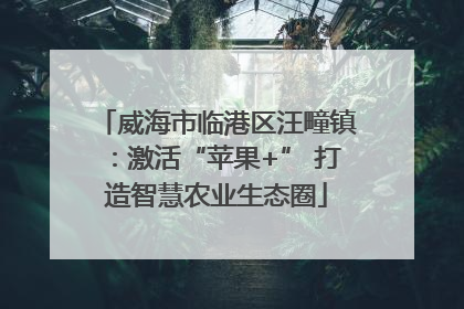 威海市临港区汪疃镇：激活“苹果+” 打造智慧农业生态圈