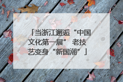 当浙江邂逅“中国文化第一展” 老技艺变身“新国潮”