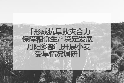 形成抗旱救灾合力 保障粮食生产稳定发展 丹阳多部门开展小麦受旱情况调研