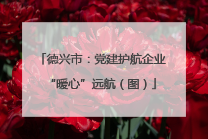 德兴市：党建护航企业“暖心”远航（图）