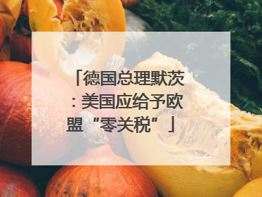 德国总理默茨:美国应给予欧盟“零关税”