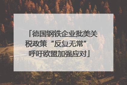德国钢铁企业批美关税政策“反复无常” 呼吁欧盟加强应对