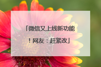 微信又上线新功能！网友：赶紧改