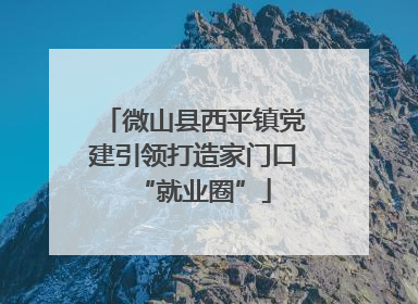 微山县西平镇党建引领打造家门口“就业圈”