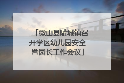 微山县驩城镇召开学区幼儿园安全暨园长工作会议