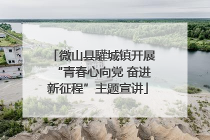 微山县驩城镇开展“青春心向党 奋进新征程”主题宣讲