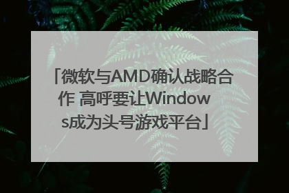 微软与AMD确认战略合作 高呼要让Windows成为头号游戏平台