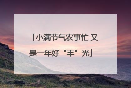 小满节气农事忙 又是一年好“丰”光