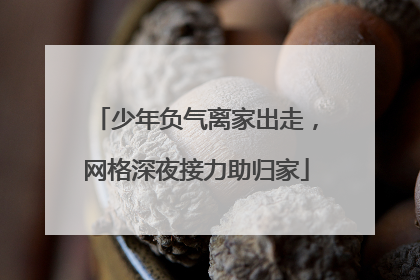 少年负气离家出走，网格深夜接力助归家