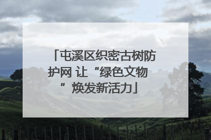 屯溪区织密古树防护网 让“绿色文物”焕发新活力