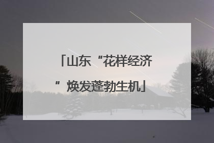 山东“花样经济”焕发蓬勃生机
