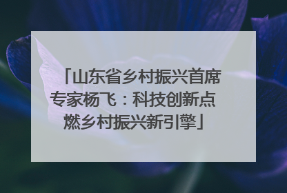 山东省乡村振兴首席专家杨飞：科技创新点燃乡村振兴新引擎