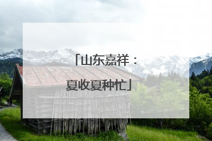山东嘉祥：夏收夏种忙