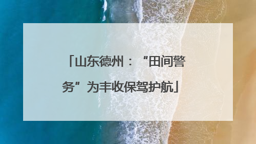 山东德州：“田间警务”为丰收保驾护航