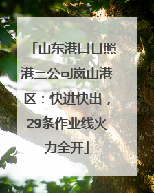 山东港口日照港三公司岚山港区：快进快出，29条作业线火力全开