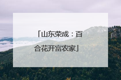 山东荣成：百合花开富农家