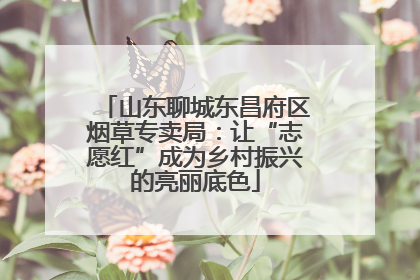 山东聊城东昌府区烟草专卖局：让“志愿红”成为乡村振兴的亮丽底色