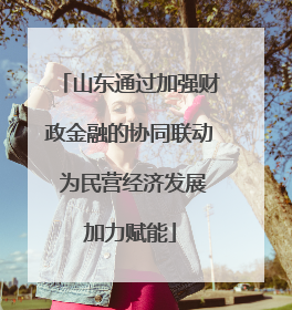 山东通过加强财政金融的协同联动 为民营经济发展加力赋能
