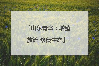 山东青岛：增殖放流 修复生态