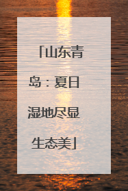 山东青岛：夏日湿地尽显生态美