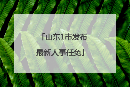 山东1市发布最新人事任免