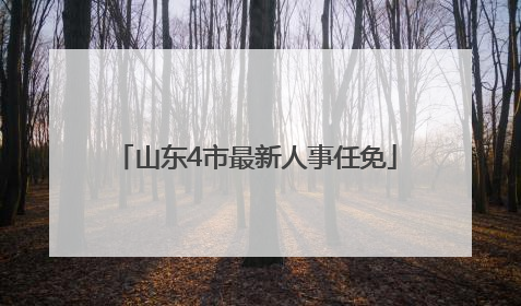 山东4市最新人事任免