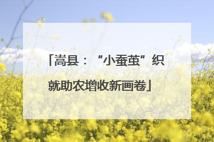 嵩县：“小蚕茧”织就助农增收新画卷