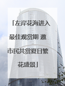左岸花海进入最佳观赏期 邀市民共赏夏日繁花盛景