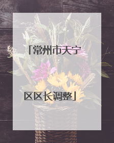 常州市天宁区区长调整