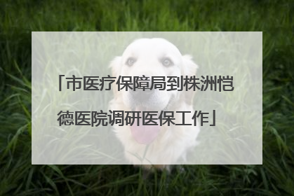 市医疗保障局到株洲恺德医院调研医保工作