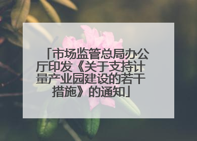市场监管总局办公厅印发《关于支持计量产业园建设的若干措施》的通知