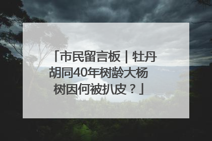市民留言板｜牡丹胡同40年树龄大杨树因何被扒皮？