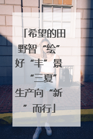 希望的田野智“绘”好“丰”景 “三夏”生产向“新”而行