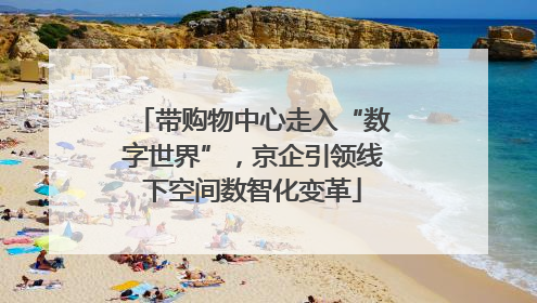 带购物中心走入“数字世界”，京企引领线下空间数智化变革