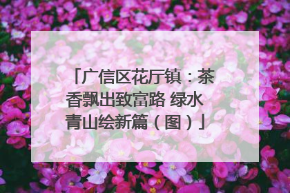 广信区花厅镇：茶香飘出致富路 绿水青山绘新篇（图）
