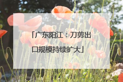 广东阳江：刀剪出口规模持续扩大